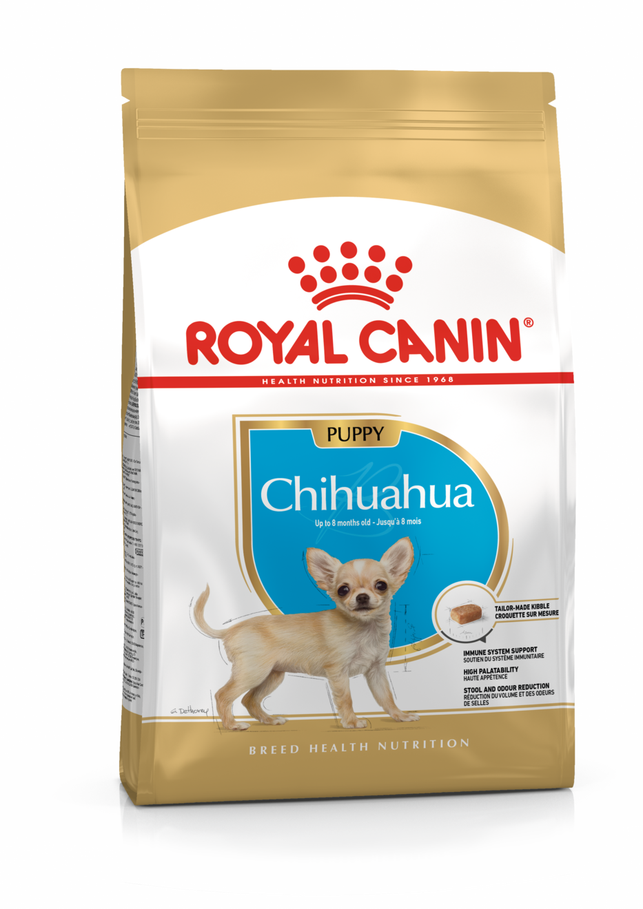 BHN CHIHUAHUA PUPPY 1,13 KG