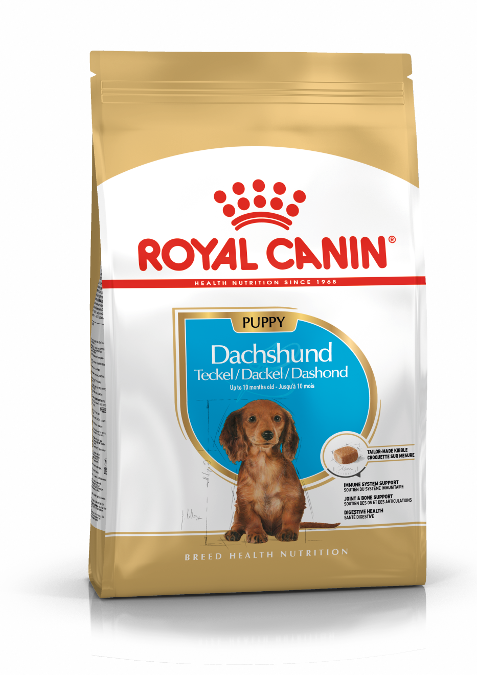 BHN DACHSHUND PUPPY 1.13KG