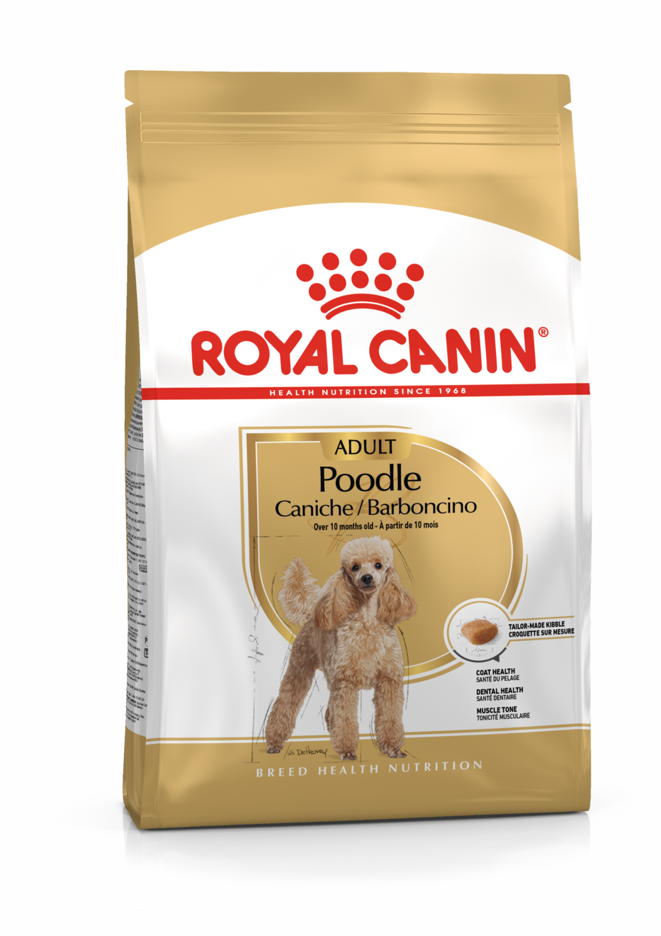 BHN POODLE 1.5KG