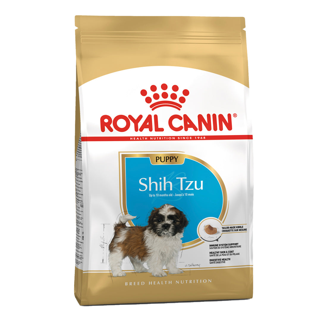 BHN SHIH TZU PUPPY 1.5KG