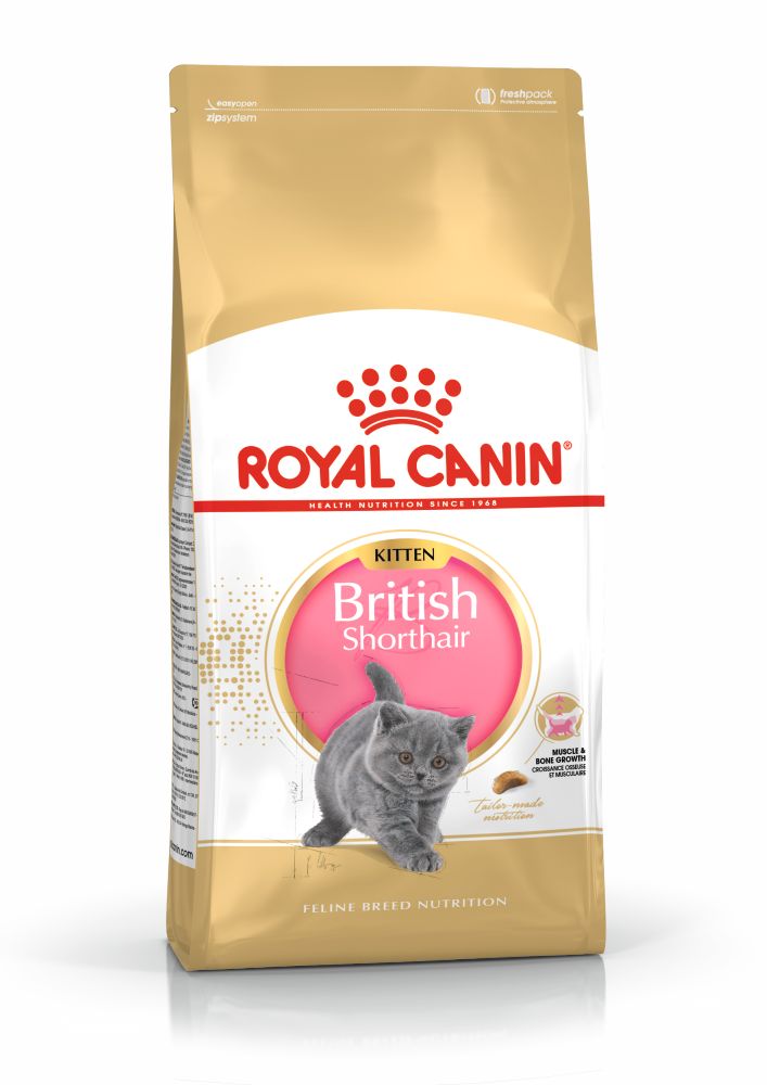 FBN BRITISH SHORT HAIR KITTEN 2KG