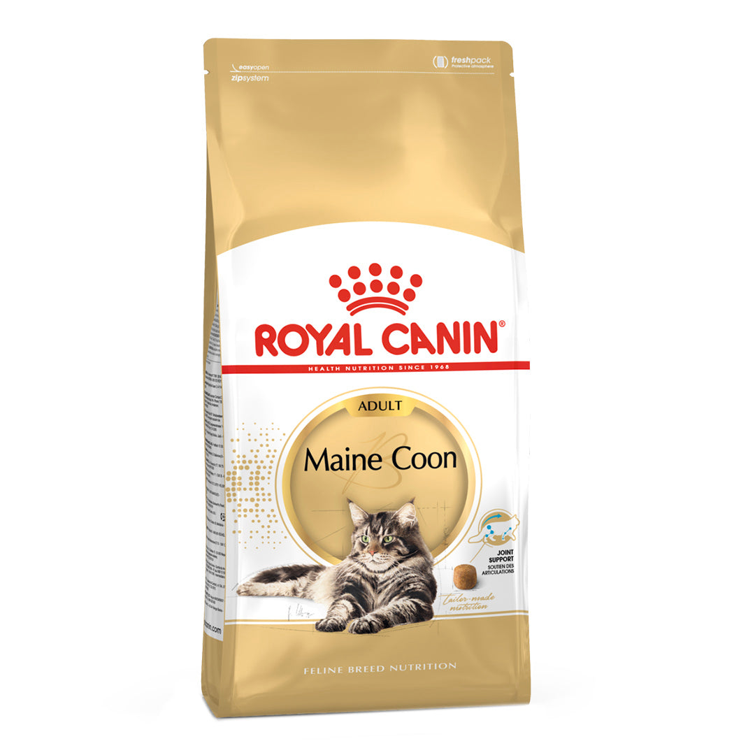 FBN MAINE COON 4KG